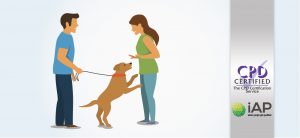 Diploma in Dog Socialization and Obedience