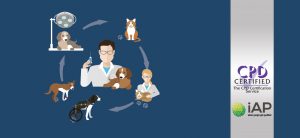 Diploma in Veterinary Support Assistant Training