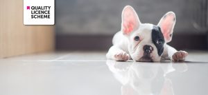 Advanced Diploma in Animal Physical Therapy Level 3