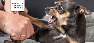 Advanced Diploma in Dog Behaviour and Training Level 3